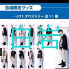 JO1 タペストリー　白岩のサムネイル