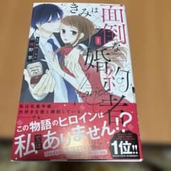 きみは面倒な婚約者①巻のサムネイル