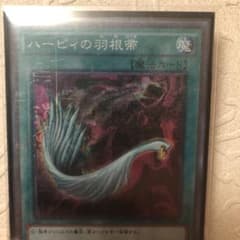 【スピード発送】ハーピィの羽根箒 1枚のサムネイル
