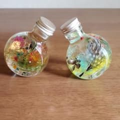 ハーバリウム　セットのサムネイル