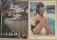 紗栄子 クリアファイル　A4 2枚セット 週刊ヤングジャンプのサムネイル
