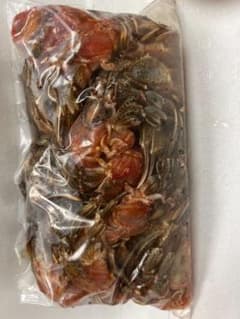 釣り餌冷凍ヤドカリ 大きいサイズのサムネイル