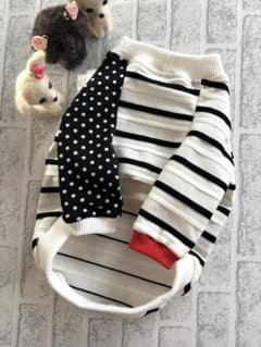 犬服 ラグラン(M) ꒡̈⃝Lily꒡̈⃝ハンドメイド - メルカリ