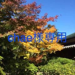 chae様専用のサムネイル