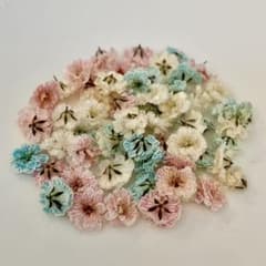 ⑤かすみ草ドライフラワー60粒＋お気持ちのサムネイル