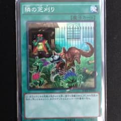 隣の芝刈りのサムネイル