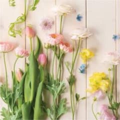 ぽん様 専用のサムネイル