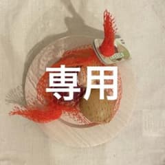 erzi 玉ねぎとりんごのサムネイル