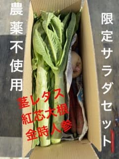 細め茎レタス限定サラダセット　本日1箱のみ箱込み4キロのサムネイル