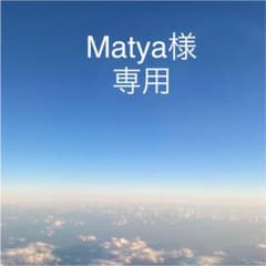Matya様専用 オルゴナイトのサムネイル