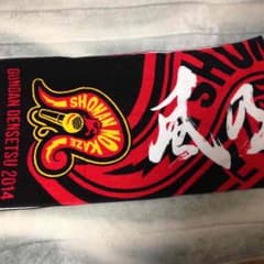 ライトさん専用 湘南乃風 タオル 2014のサムネイル
