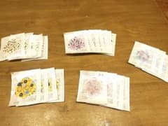 サンリオ アイパッチ 23枚セットのサムネイル