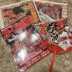 カープ2016優勝記念プレート(限定品) 2025年最新】カープ優勝記念の人気アイテム - メルカリ