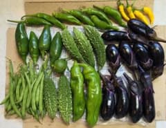 (ミニ)野菜詰め合わせのサムネイル