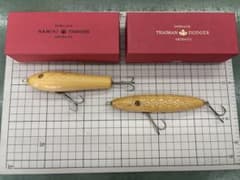 道楽　ナミキツクシ　タイマンドジョウのサムネイル