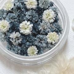 かすみ草ドライフラワー　モノトーン大粒50粒 - 3