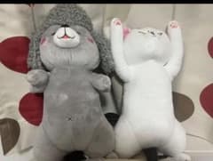 犬と猫どっちも飼ってると毎日たのしい　ぬいぐるみのサムネイル