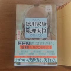 ビジネス小説 もしも徳川家康が総理大臣だったらのサムネイル