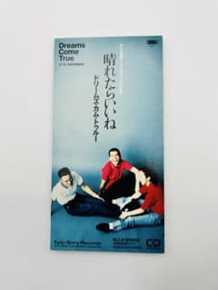 ドリームズ・カム・トゥルー/晴れたらいいねのサムネイル