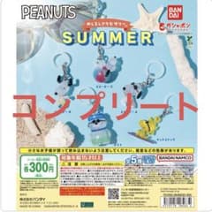 【コンプリート】PEANUTS めじるしアクセサリー SUMMERのサムネイル
