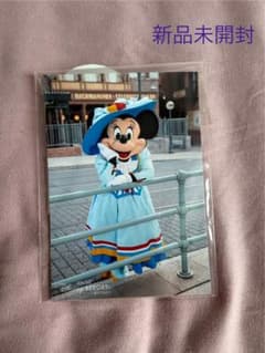 ミニーマウス　写真6枚セット