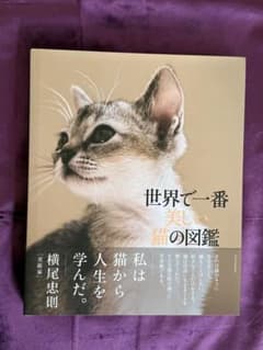 世界で一番美しい猫の図鑑のサムネイル