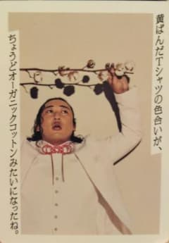 アーモンドピークロバート秋山GOHOBINGブロマイドのサムネイル