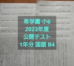 希学園 小6 公開テスト国語 1年11回分 解答解説付 B4 - メルカリ