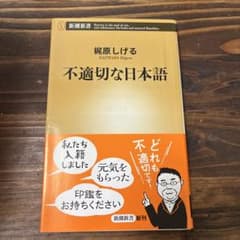 不適切な日本語のサムネイル