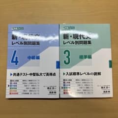 新・現代文レベル別問題集 3・4 バラ可能のサムネイル