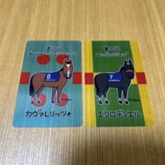 カヴァレリッツォ エコロデュエル ウェルカムチャンス2025年G1レース優勝馬のサムネイル