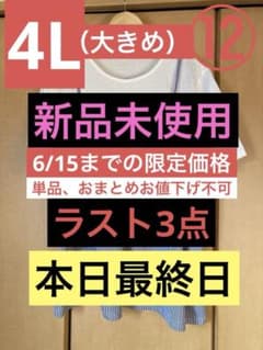 6/15迄限定価格》（大きいサイズ）⑫白色×ストライプ柄重ね着風半袖