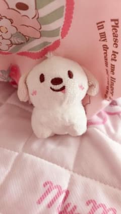 RIIZE アントン モンリョンイ 10cm ぬいぐるみ キーホルダー - メルカリ