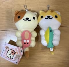 이치 반 쿠지 고양이 아츠메 마도로미 날씨 시로챠토라씨 쿠리무씨