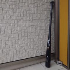 Mizuno Pro/ミズノプロ 山川穂高 実用品バット - メルカリ