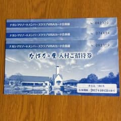 なばなの里 入村券☆3枚セットのサムネイル