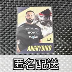 스트리트 파이터 6 플레이어스 감자 칩스 앵글리버드