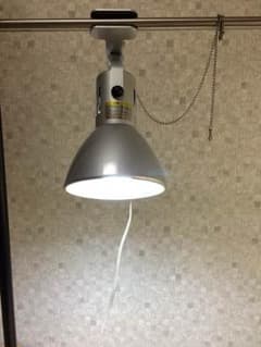 ヴォルテスのサムネイル
