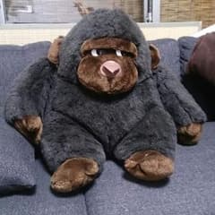 ぬいぐるのサムネイル