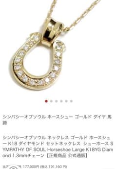 シンパシーオブソウル k18 チェーンセットのサムネイル