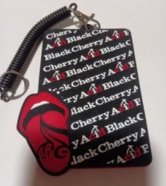Acid Black Cherry パスケース キーホルダーのサムネイル