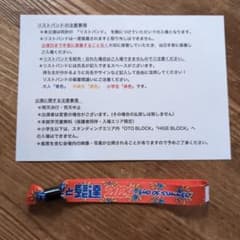 タロー様専用★音楽と髭達 2024　小学生チケット(リストバンド)　1枚のサムネイル