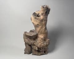 天然流木 根瘤オブジェ 高さ約31cm - メルカリ