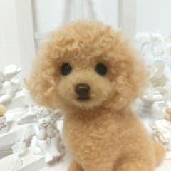 羊毛フェルト トイプードル アプリコット トイプードルぬいぐるみ #190
