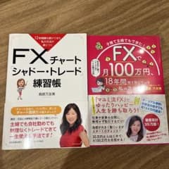 FXで月100万円　FXチャート「シャドートレード」練習帳のサムネイル