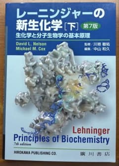 レーニンジャーの新生化学 下 第7版のサムネイル