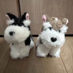 ミニチュアシュナウザー ぬいぐるみマスコットBC付き　2個セットのサムネイル