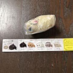 なつかない猫　ぬいぐるみ　お屋敷の猫　オッドアイのサムネイル