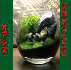 m43344745218_1.jpg?1762664152