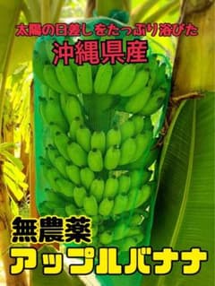沖縄県産アップルバナナのサムネイル